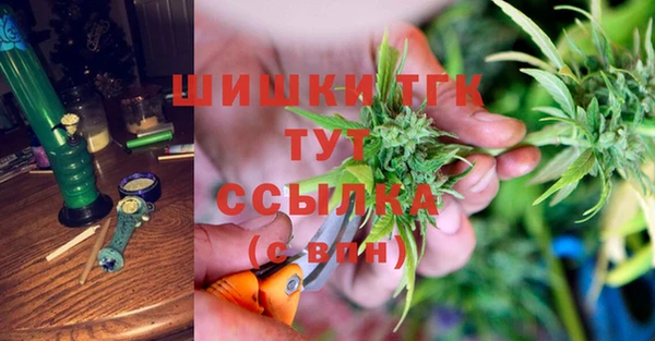СК Белокуриха