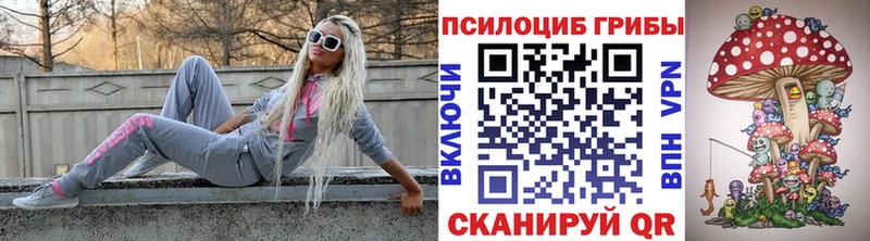 Галлюциногенные грибы прущие грибы  купить  цена  Усть-Джегута 